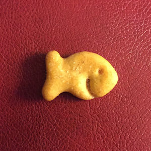 Meet your Posher, Steve